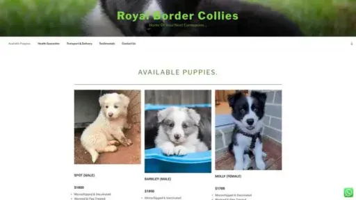 Screenshot of