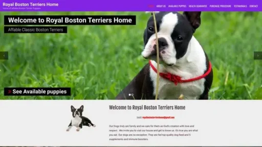 Screenshot of