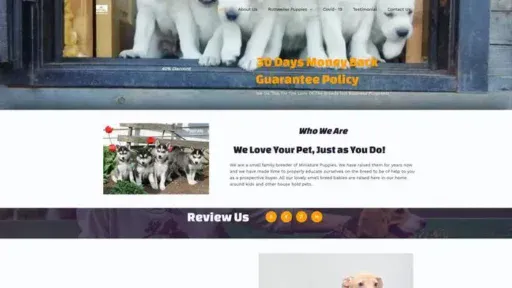 Screenshot of