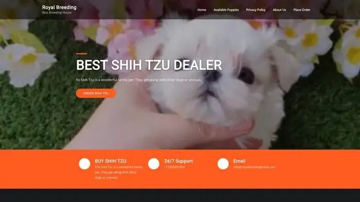 Screenshot of