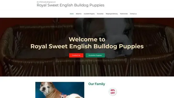 Screenshot of