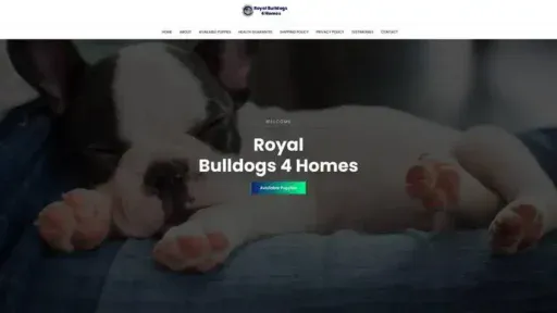 Screenshot of