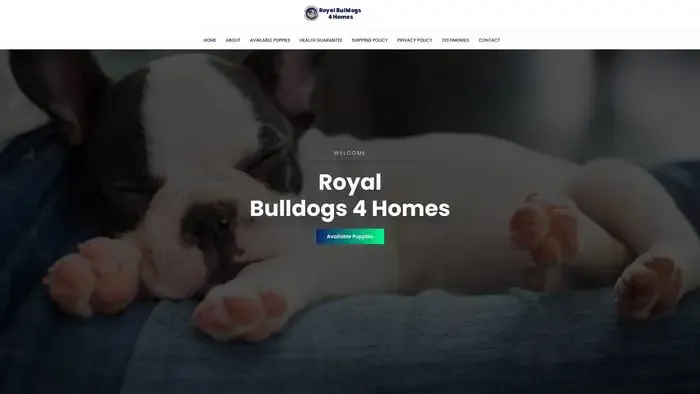 Screenshot of