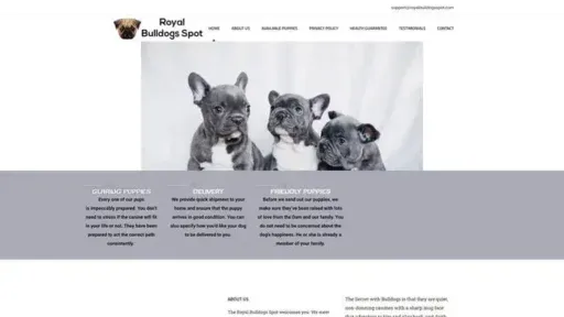 Screenshot of