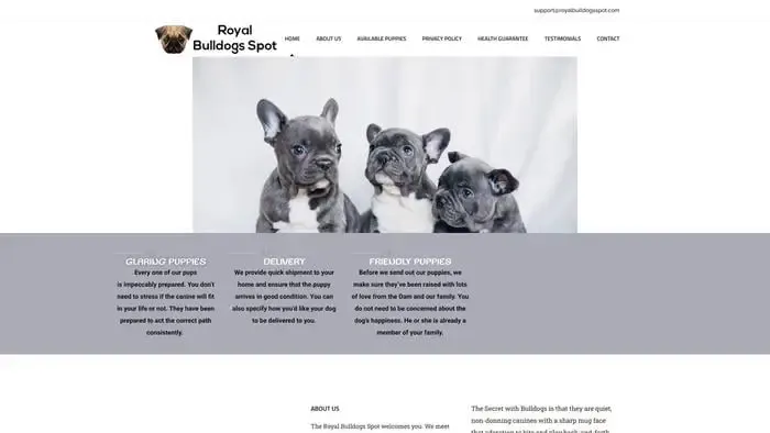 Screenshot of