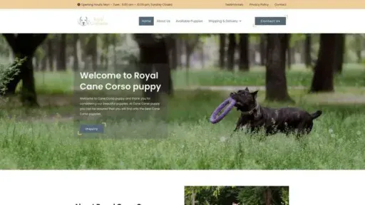 Screenshot of