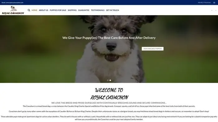 Screenshot of