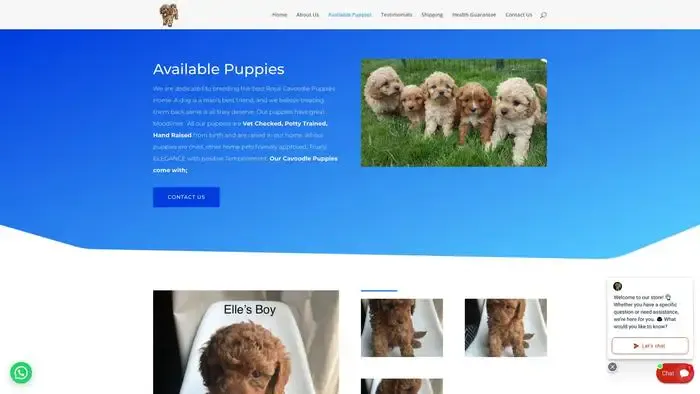 Screenshot of