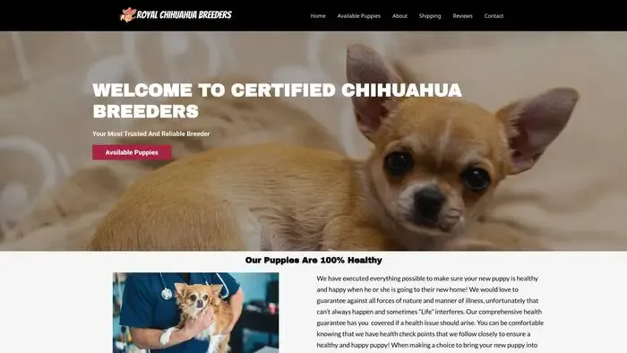 Screenshot of