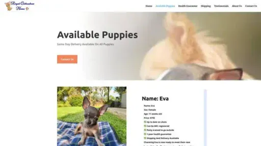 Screenshot of