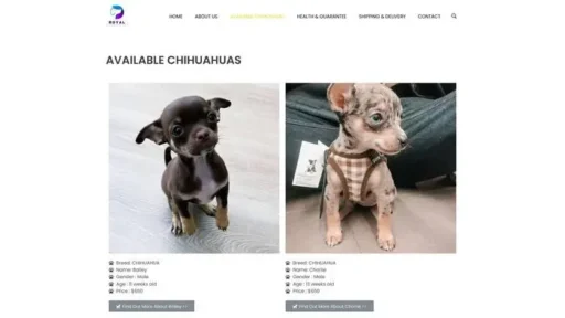 Screenshot of