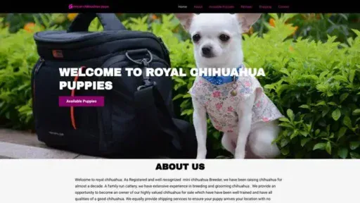 Screenshot of