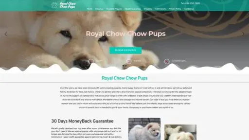 Screenshot of
