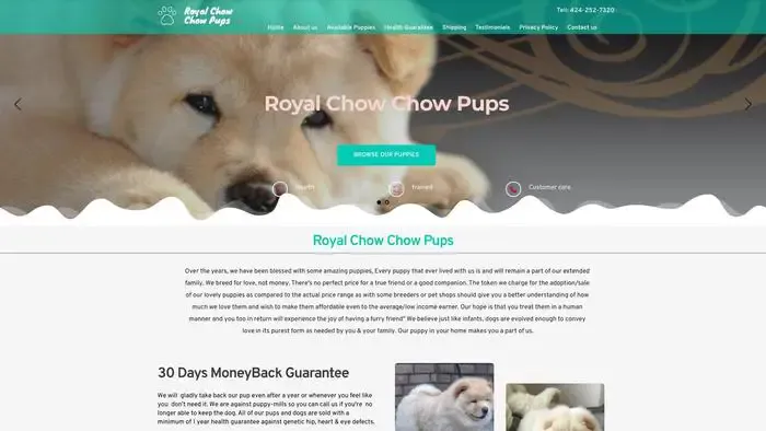 Screenshot of