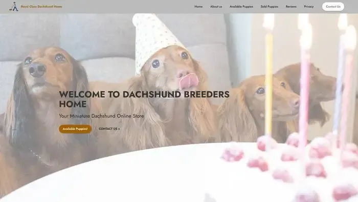 Screenshot of