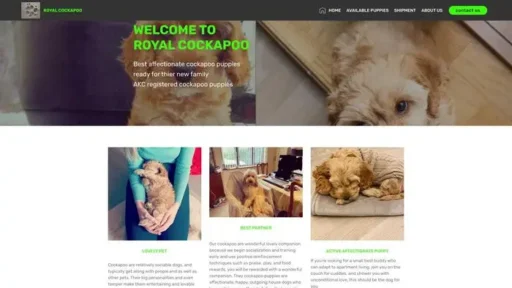 Screenshot of