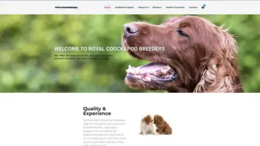 Screenshot of