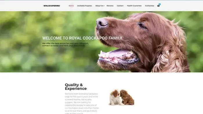 Screenshot of