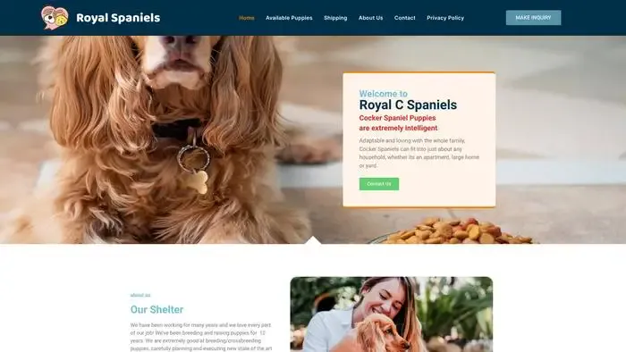 Screenshot of