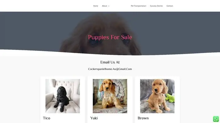 Screenshot of