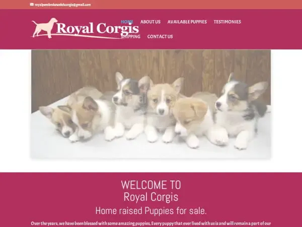 Screenshot of