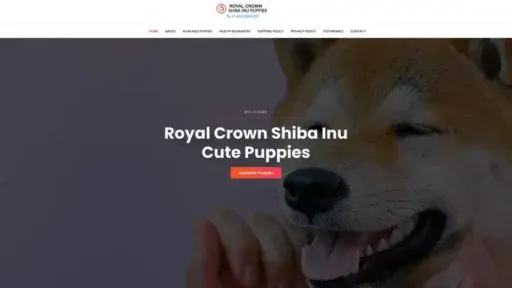 Screenshot of