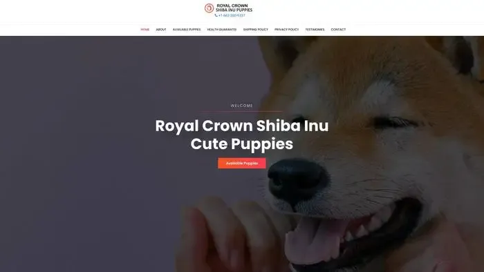 Screenshot of