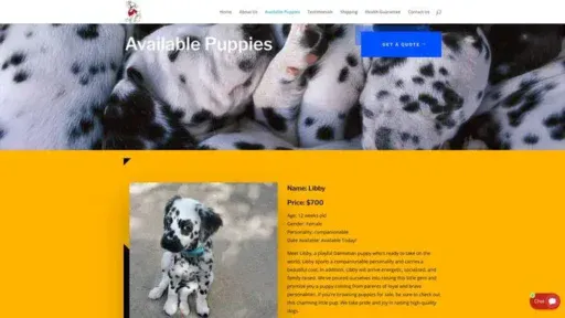 Screenshot of