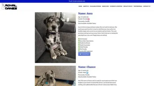 Screenshot of