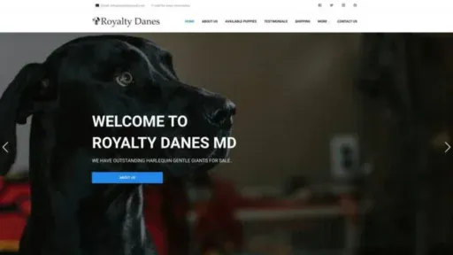 Screenshot of||