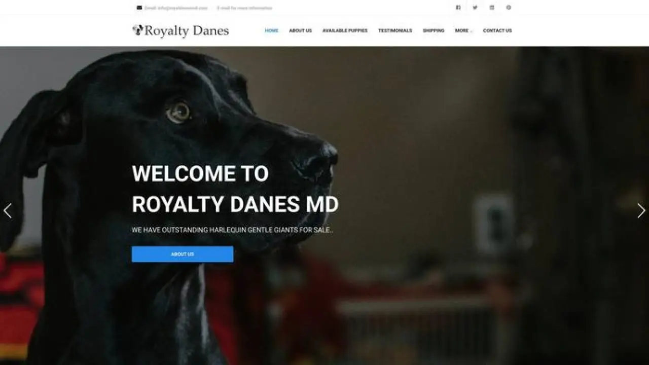 Royaldanesmd