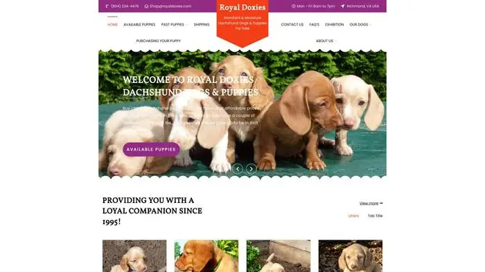 Screenshot of