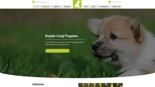 Screenshot of