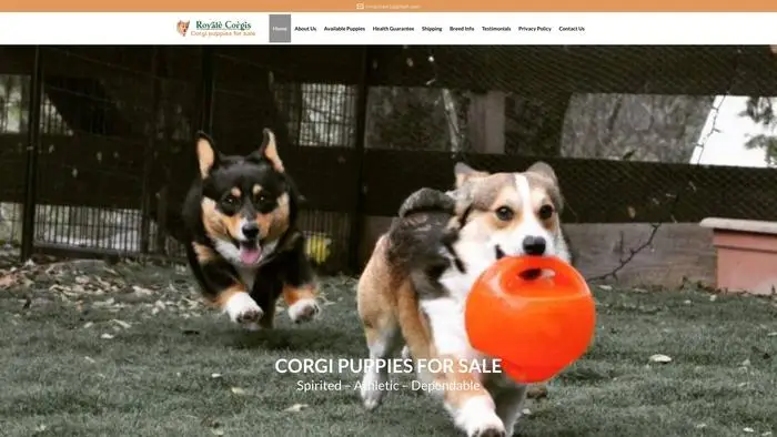 Screenshot of