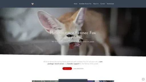 Screenshot of