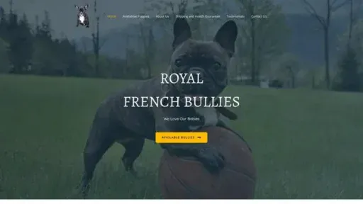 Screenshot of