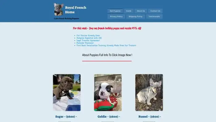 Screenshot of
