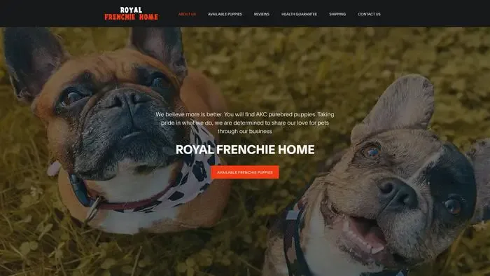 Screenshot of