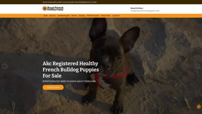 Screenshot of