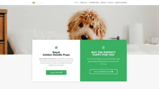 Screenshot of