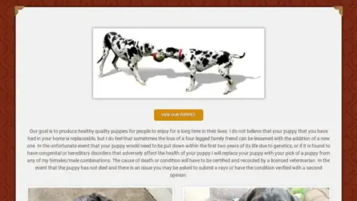 Screenshot of