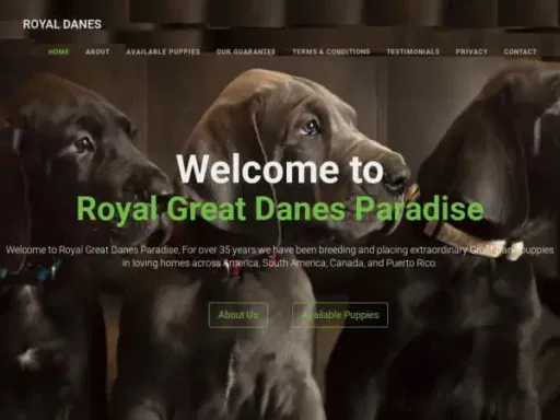 Screenshot of