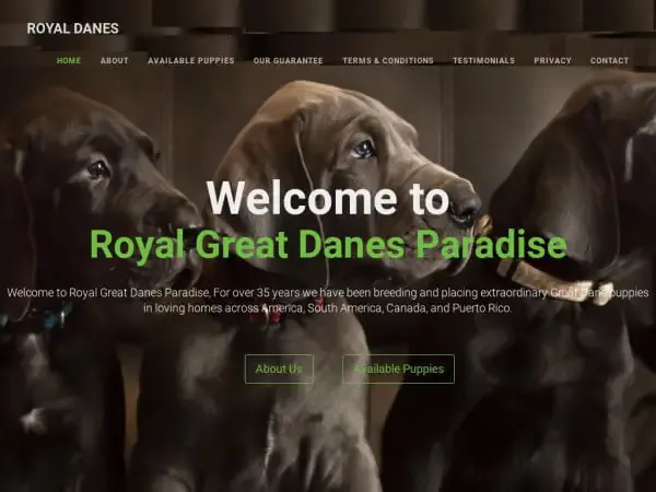 Screenshot of