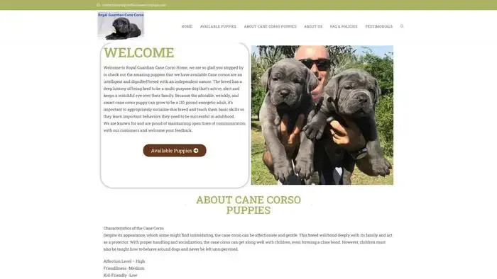 Screenshot of