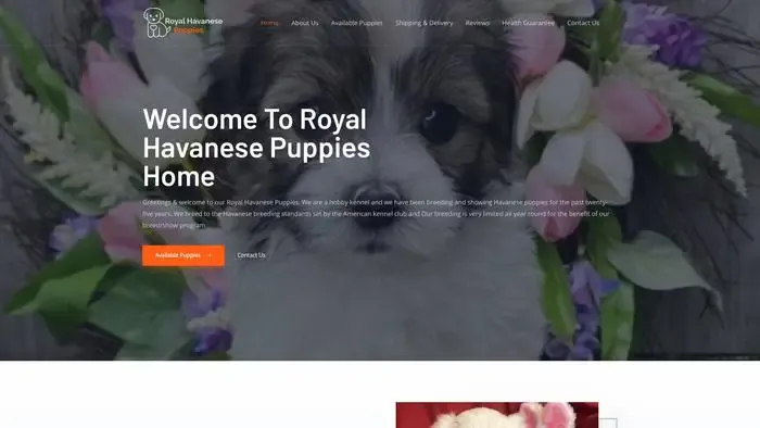 Screenshot of