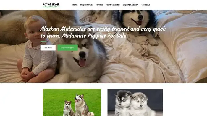 Screenshot of