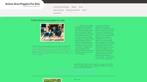Screenshot of