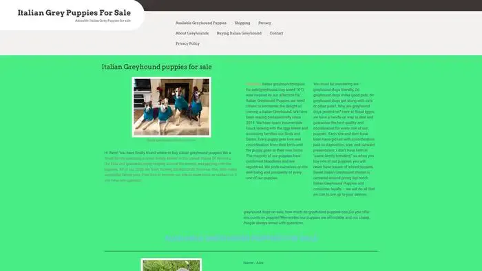 Screenshot of