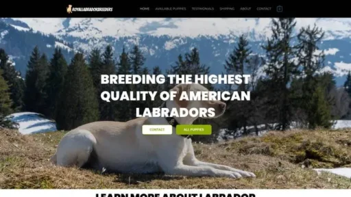 Screenshot of
