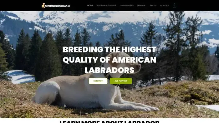 Screenshot of